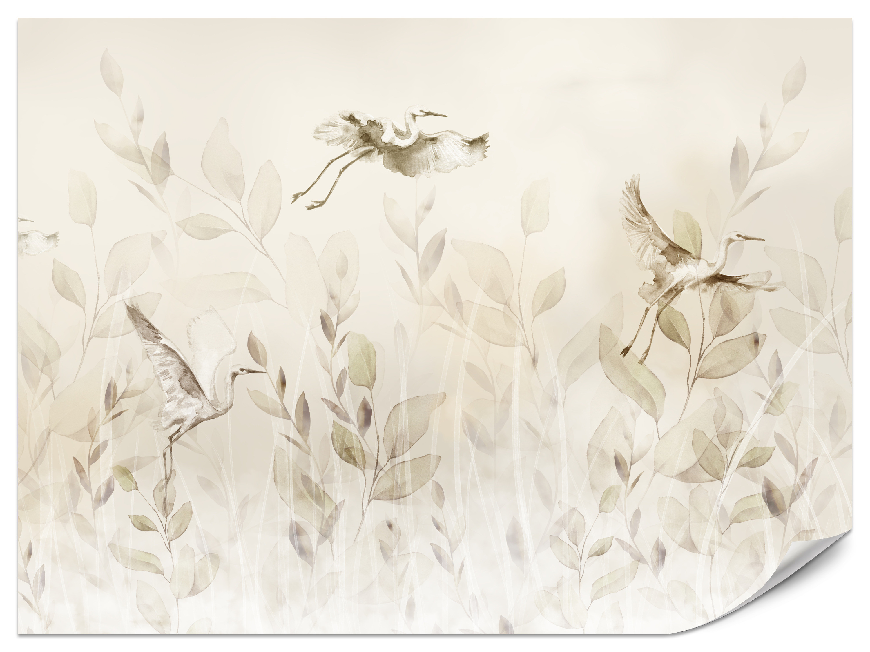 Fototapeta Ptaki nad łąką 100x70cm
