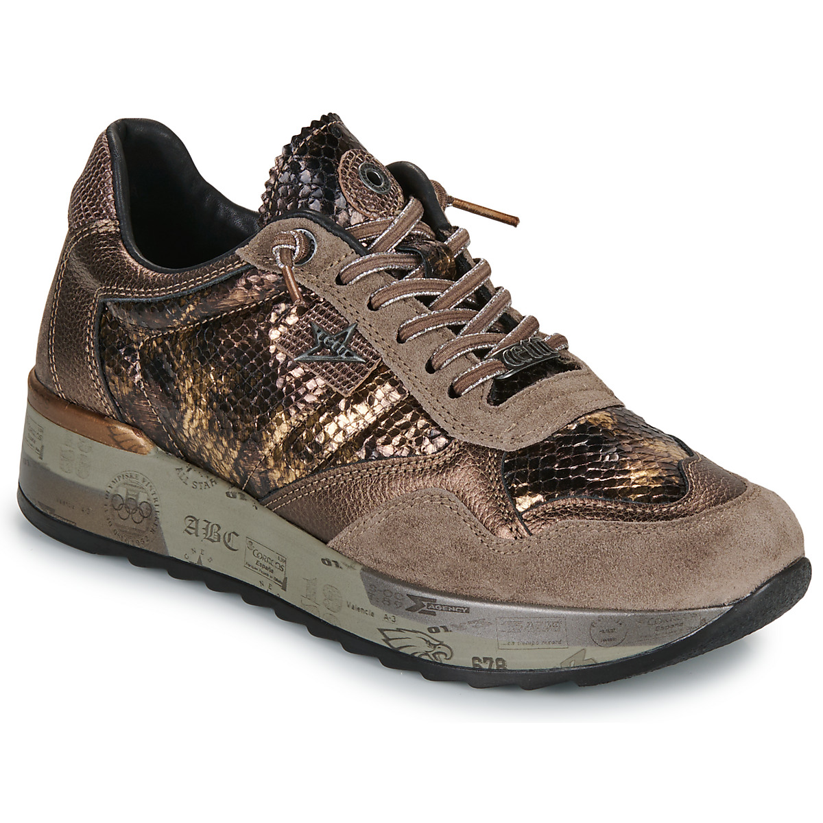 Cetti - C-848-SRA-XL-INV26-ANTE-SNAKE-PEWTER - Bronze