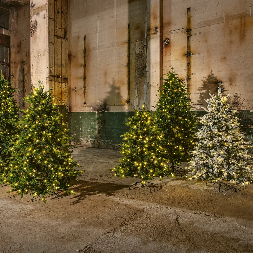 LED-Baum Indoor Light