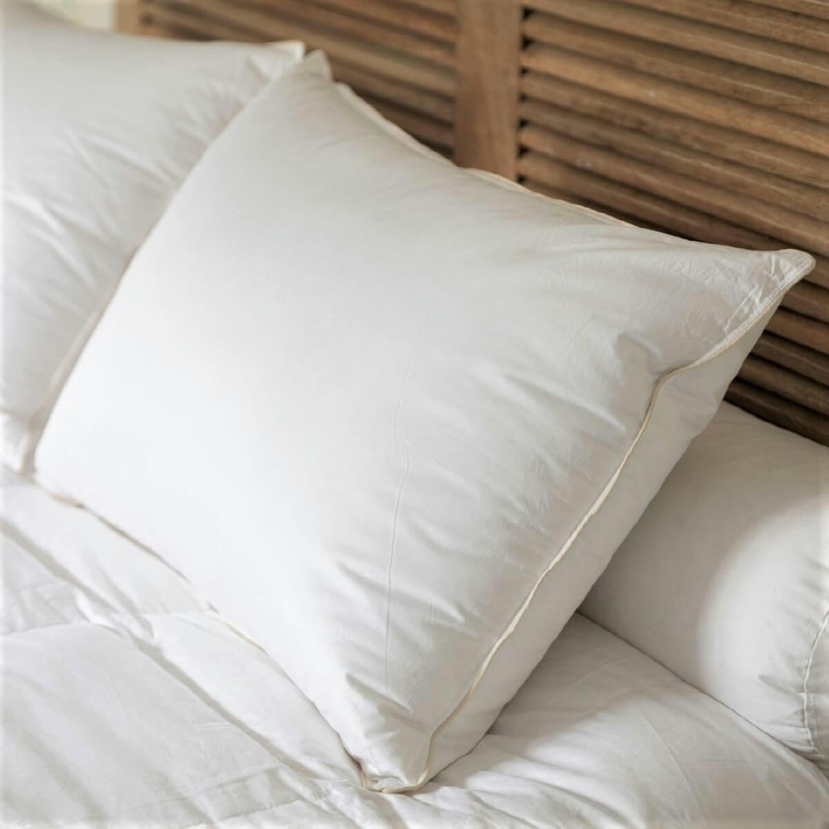 LUXE - Oreiller naturel moelleux en duvet et coton bio 50x70 cm