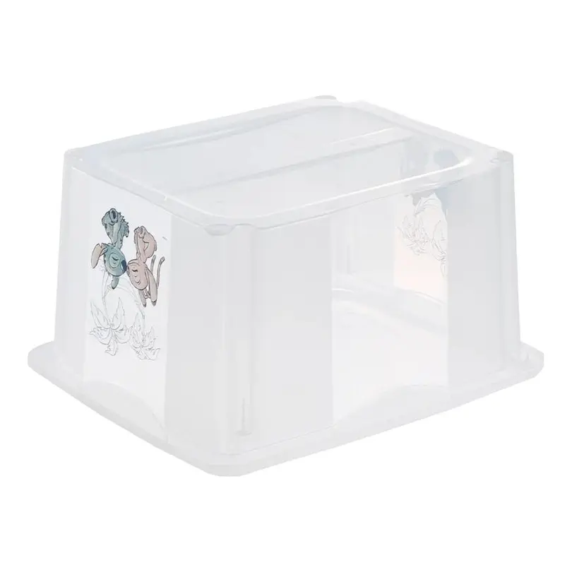 Aufbewahrungsbox Karolina