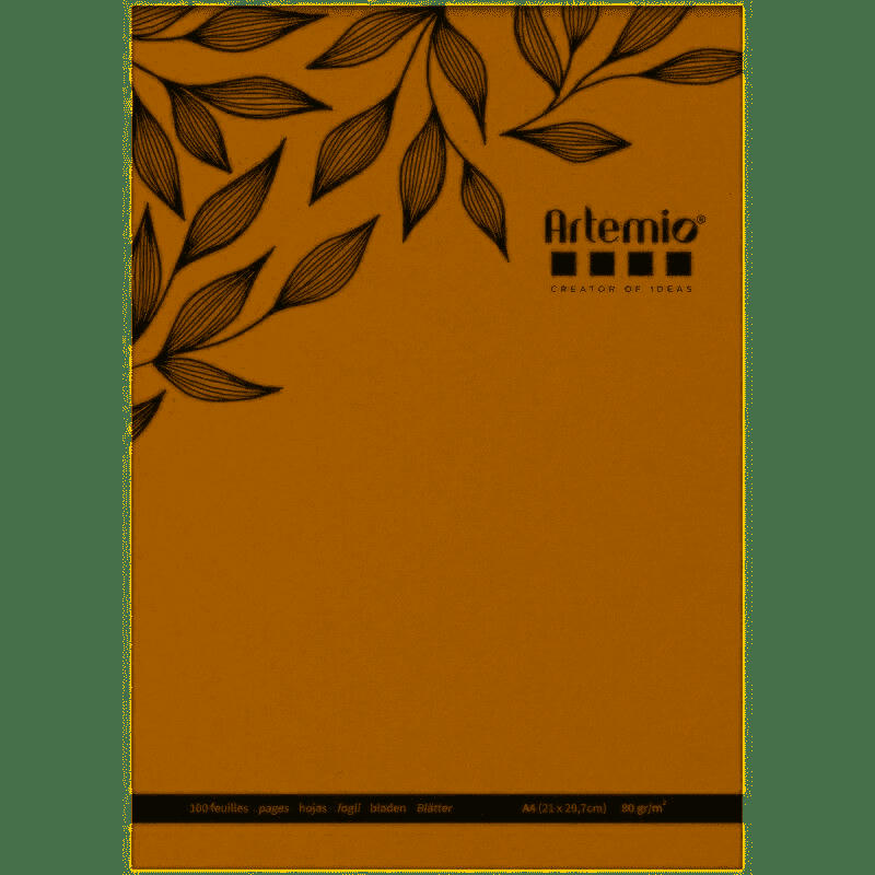 KRAFT - 100 feuilles de papier kraft A4 80 g/ m²