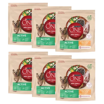PURINA ONE Mini Active Chicken & Rice