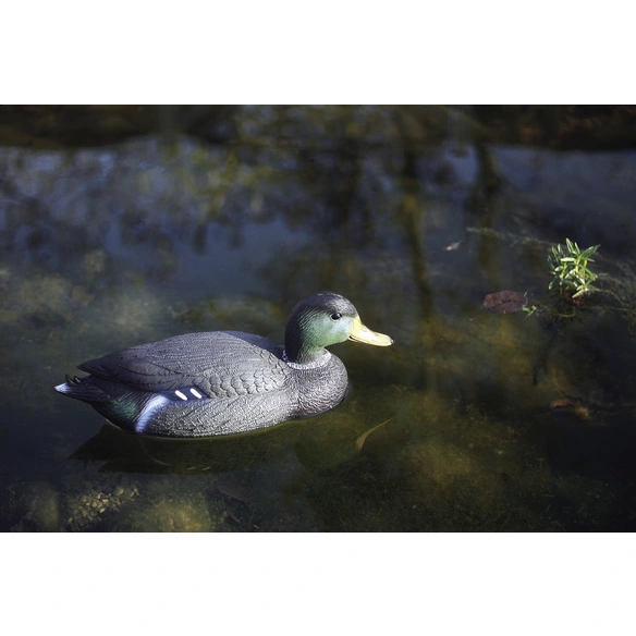 Teichfigur »Stockente, Erpel«, Kunststoff, bunt