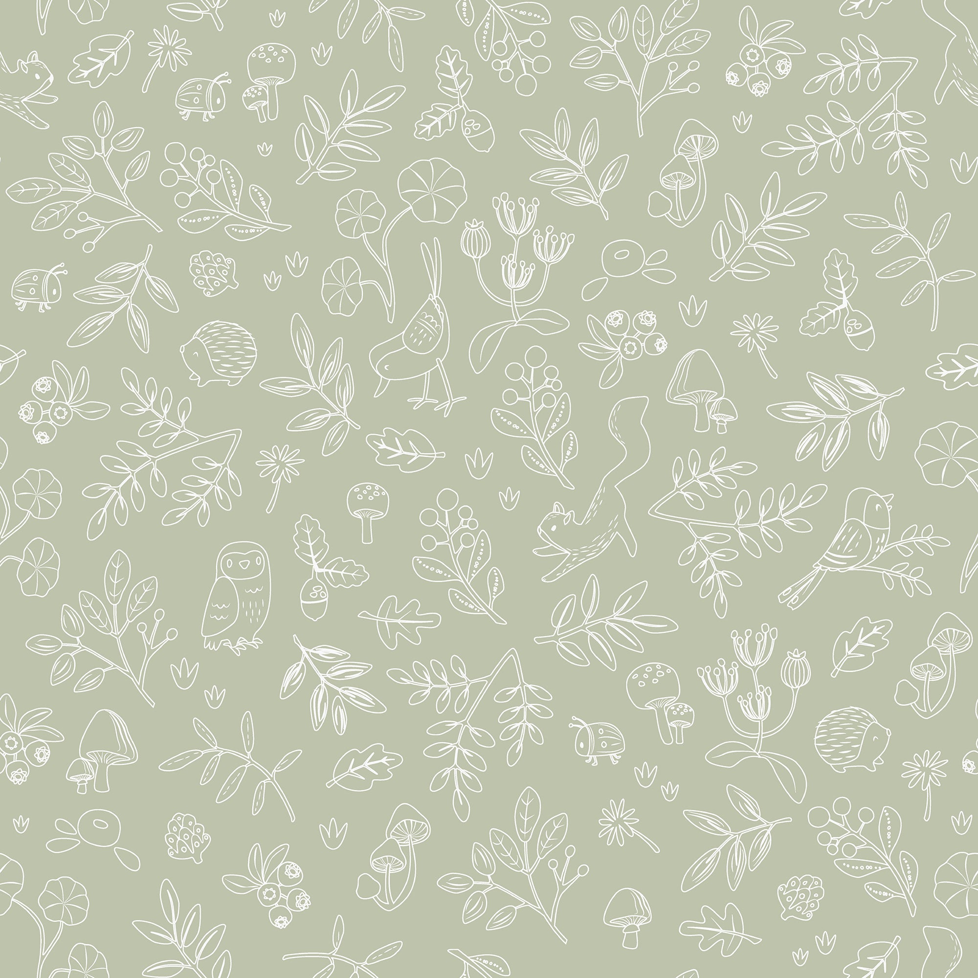 Little Dutch Vliesbehang - Forest Wonders Sage - 1000x53