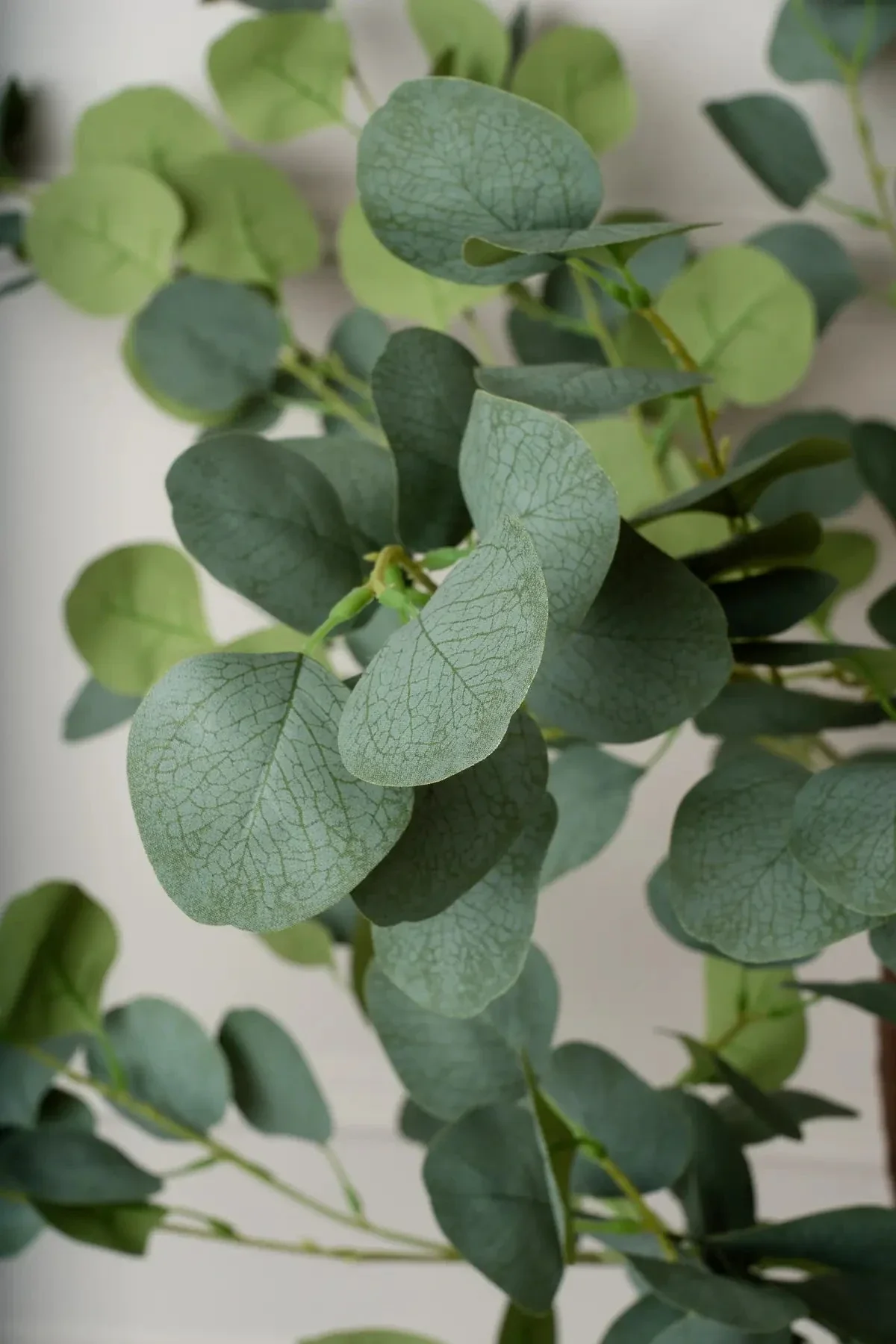 Artificial Eucalyptus Tree