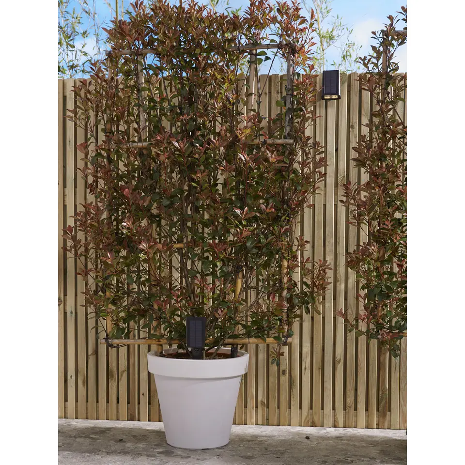 Solar Intelligent Security Prikspot - Rosario