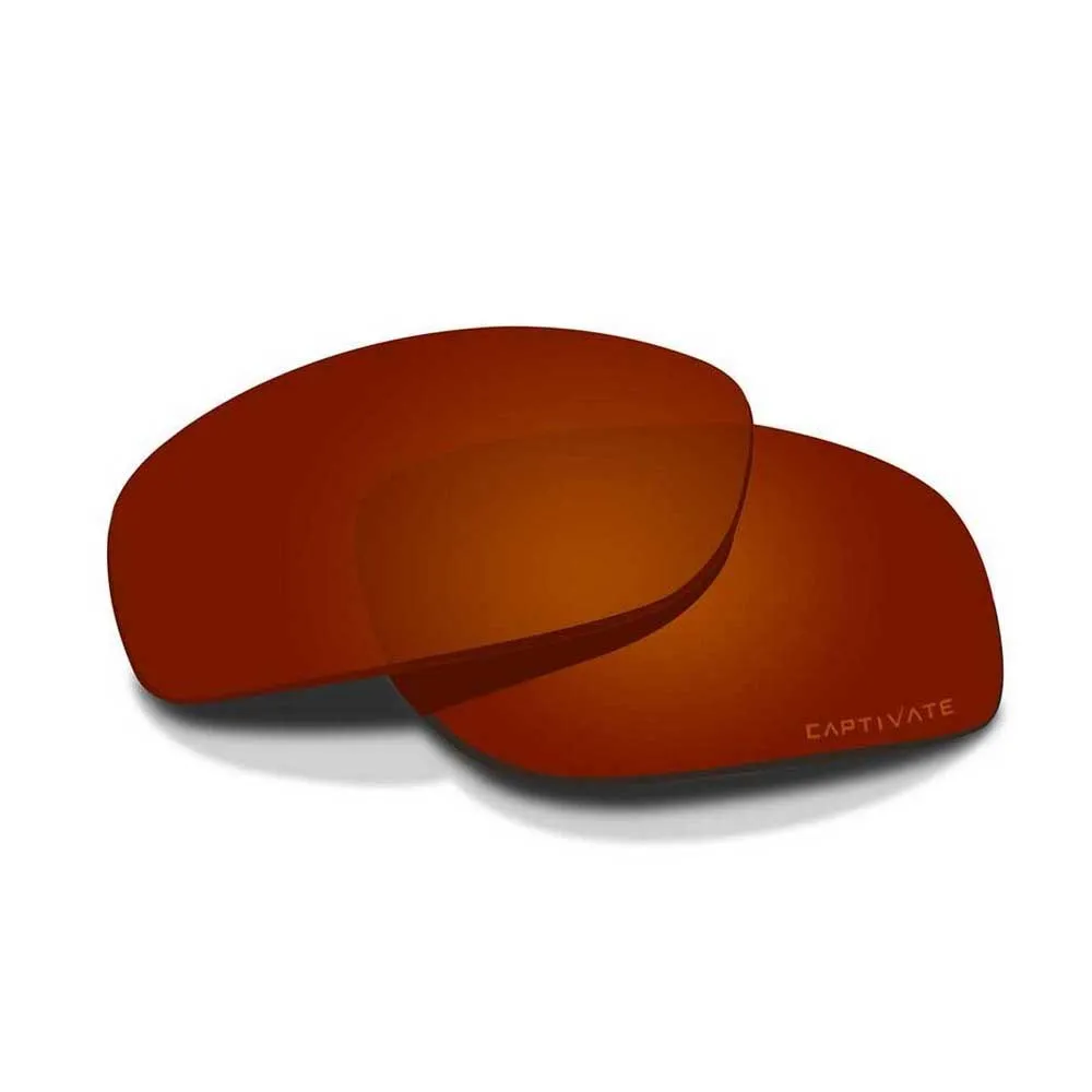 Wiley X Polarized Sunglasses Lenses