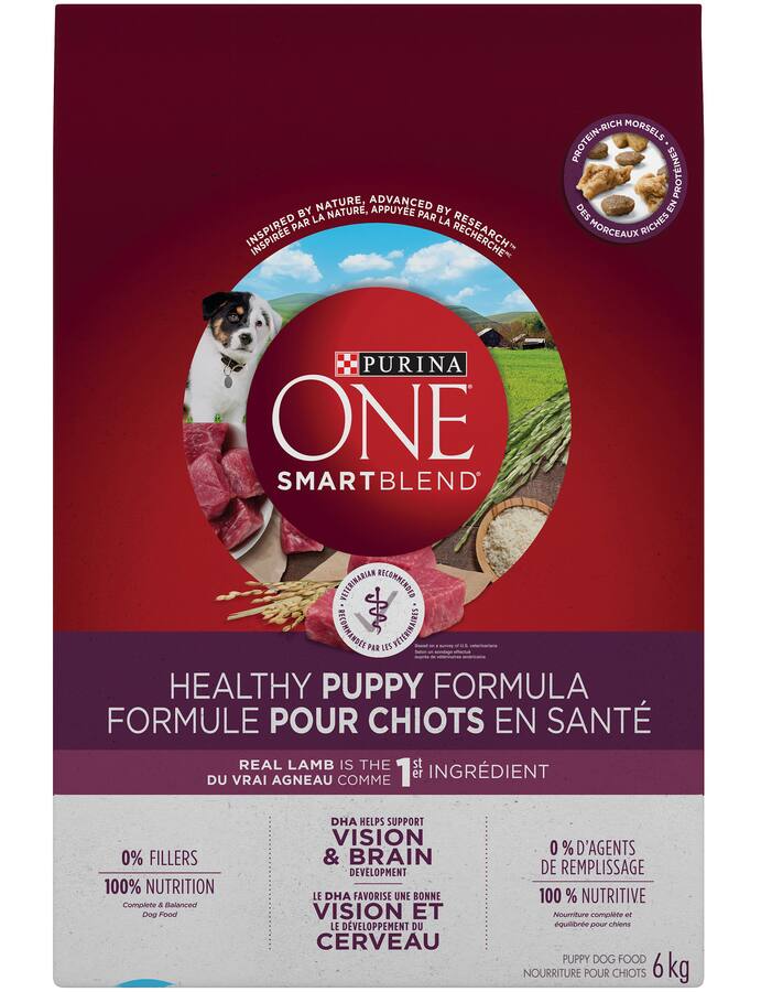 Purina ONE® SmartBlend™ Healthy Puppy Formula Lamb Dry Dog Food, 6-kg