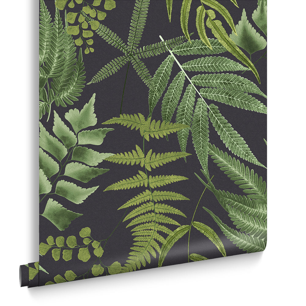 Graham & Brown Vliesbehang - Midsummer Fern Black - 10mx52cm