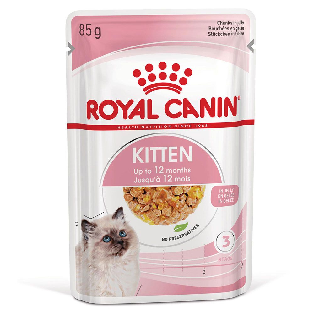 Royal Canin Kitten in Jelly