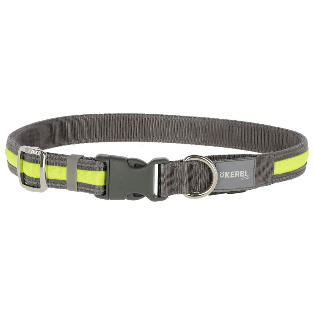 Kerbl Pet Light & Reflex Light Leash