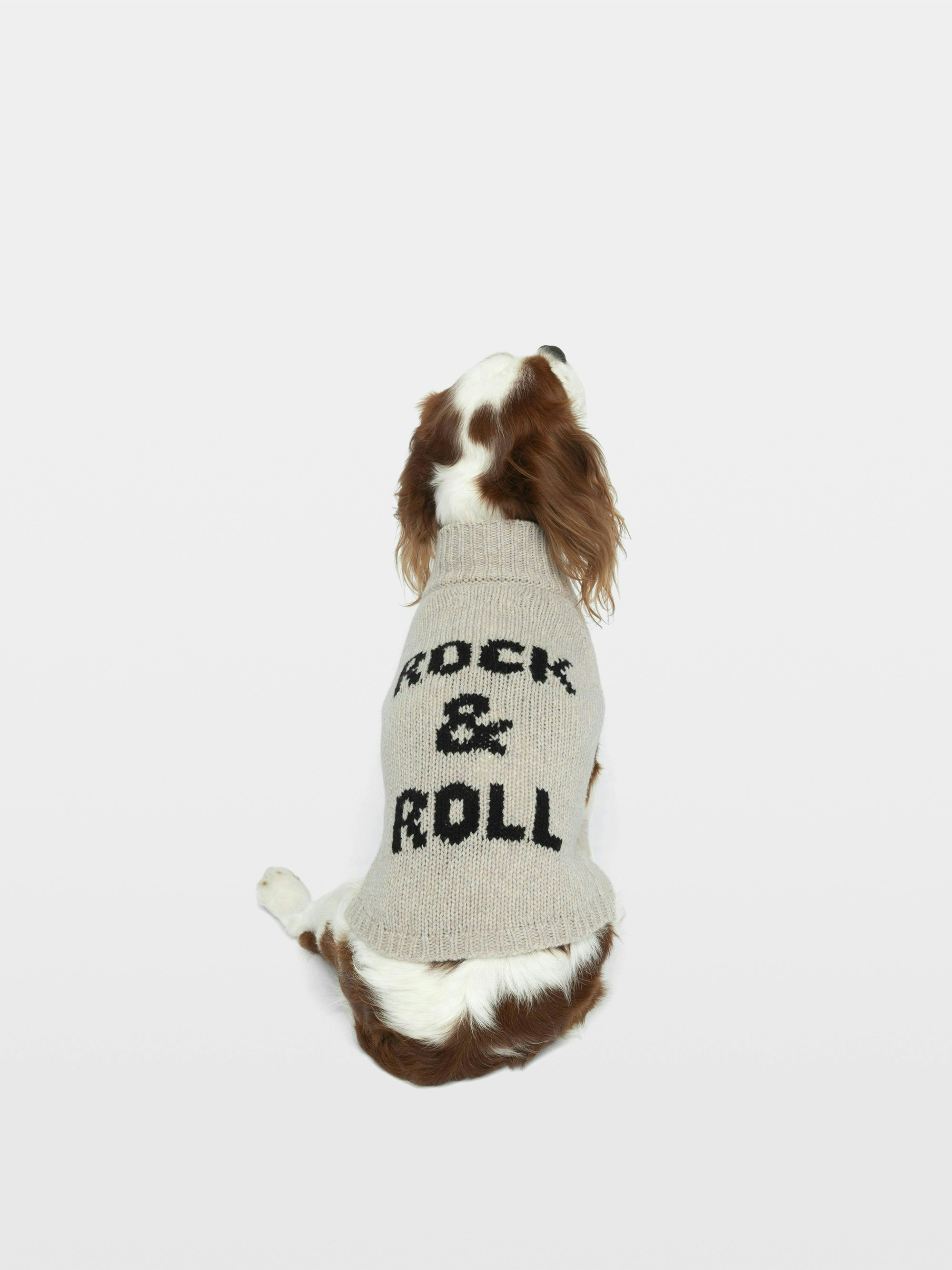Pull Zadog 100% Laine Mérinos
