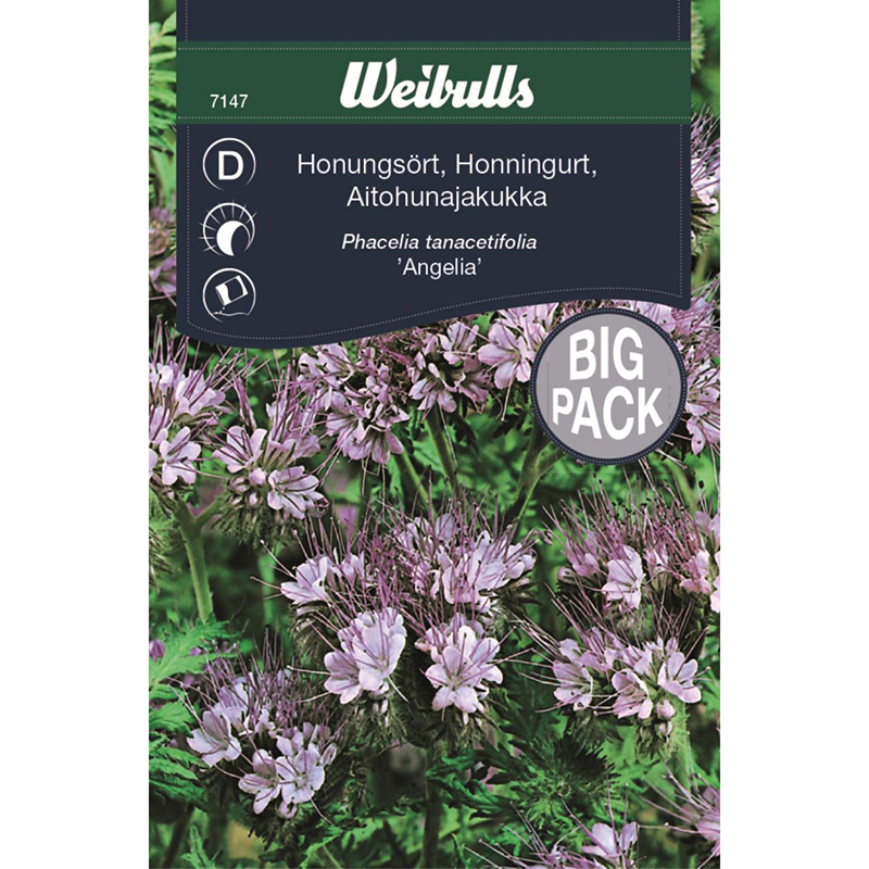Honungsört 'Angelia', storpack