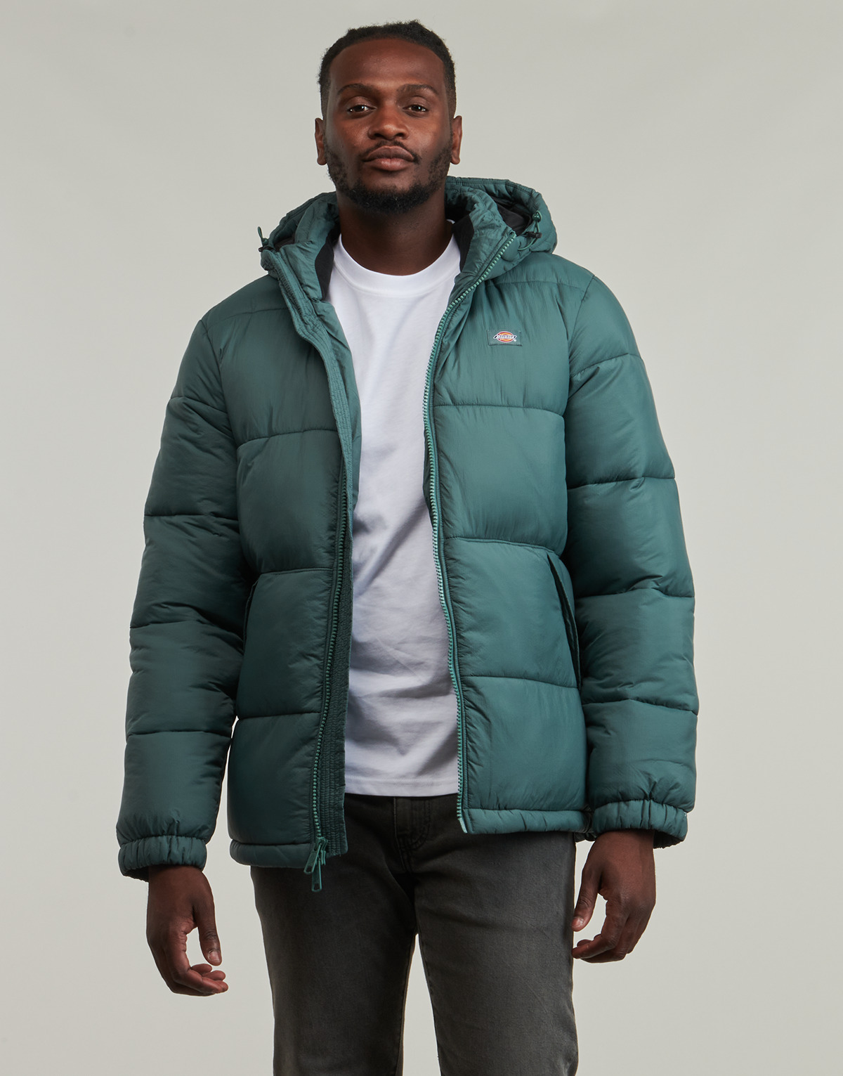 Dickies - WALDENBURG HOODED JACKET - Green