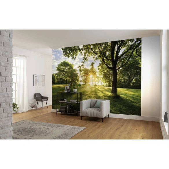 Papiertapete »Golden Moment«, Breite: 368 cm, inkl. Kleister