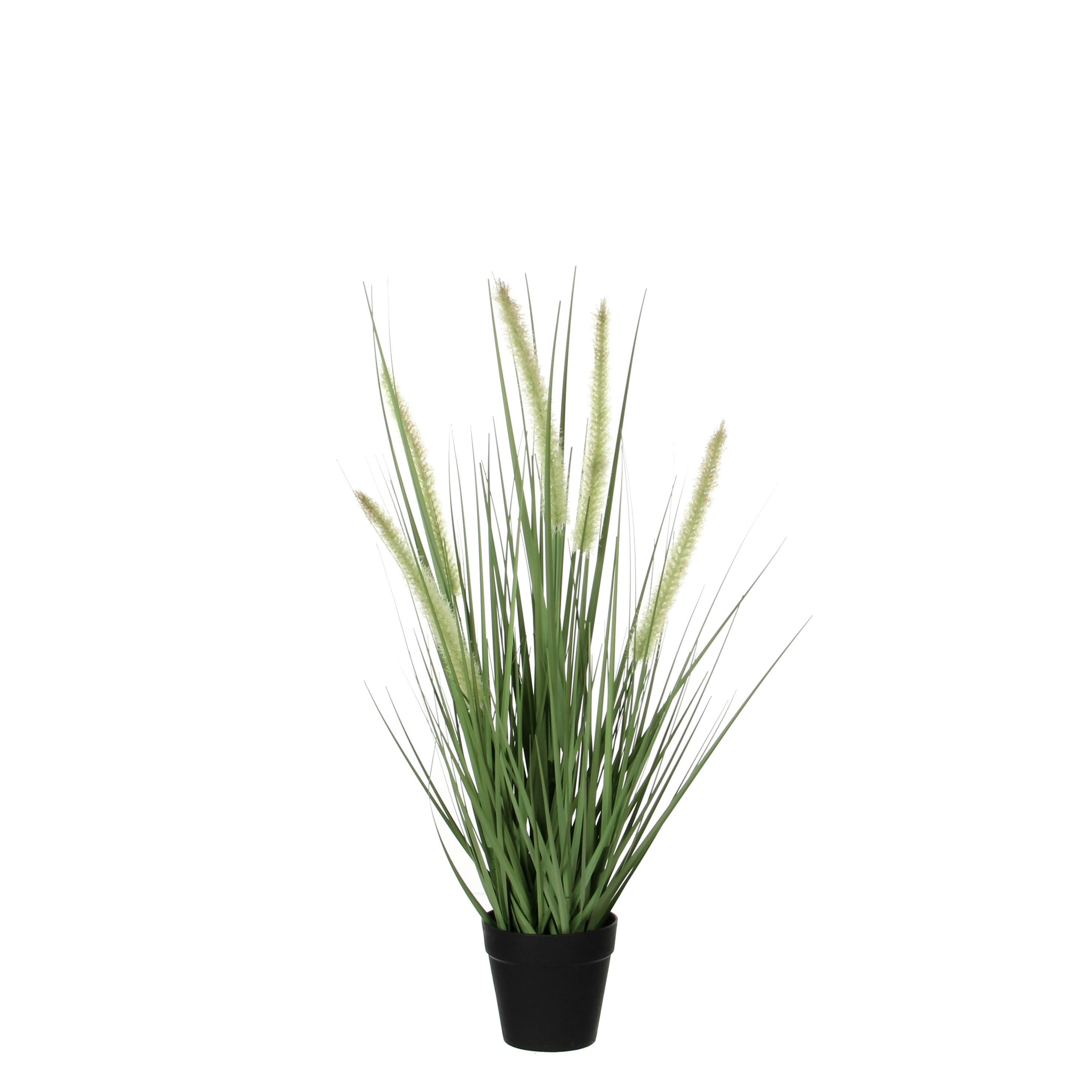 - Herbe dogtail artificielle vert en pot H53