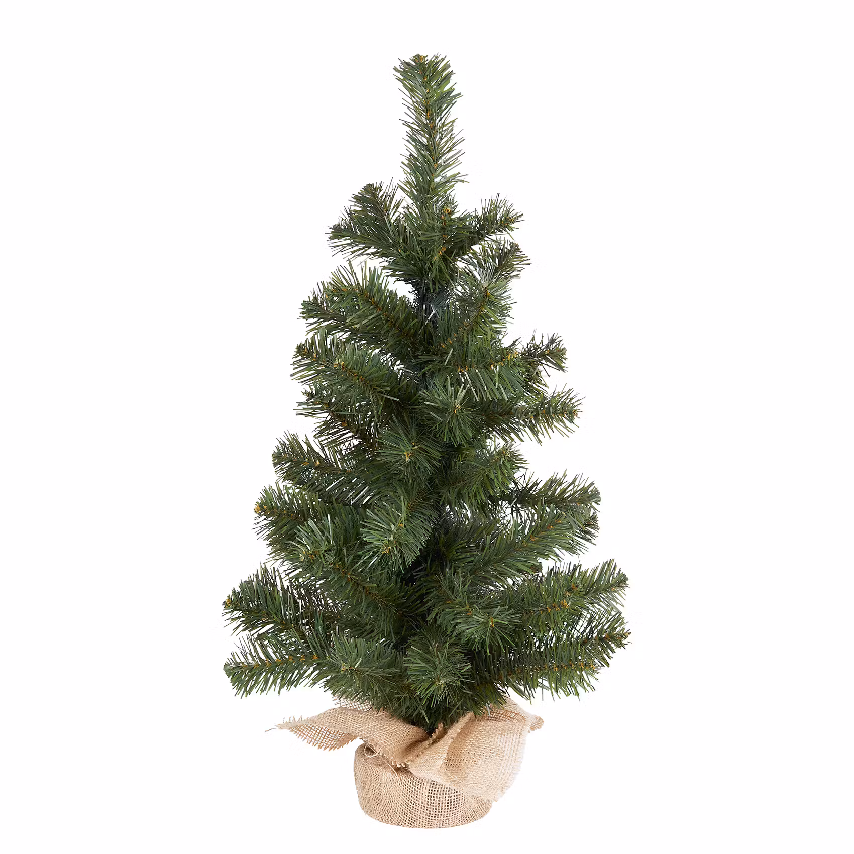 TREE OF THE MONTH Weihnachtsbaum