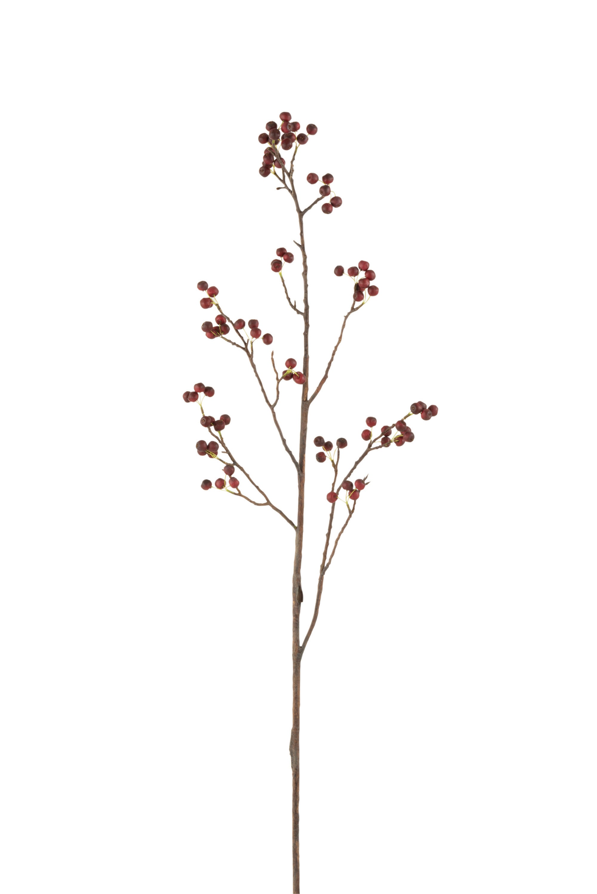 J-Line decoratie tak Bessen Fijn - kunststof - rood groen -