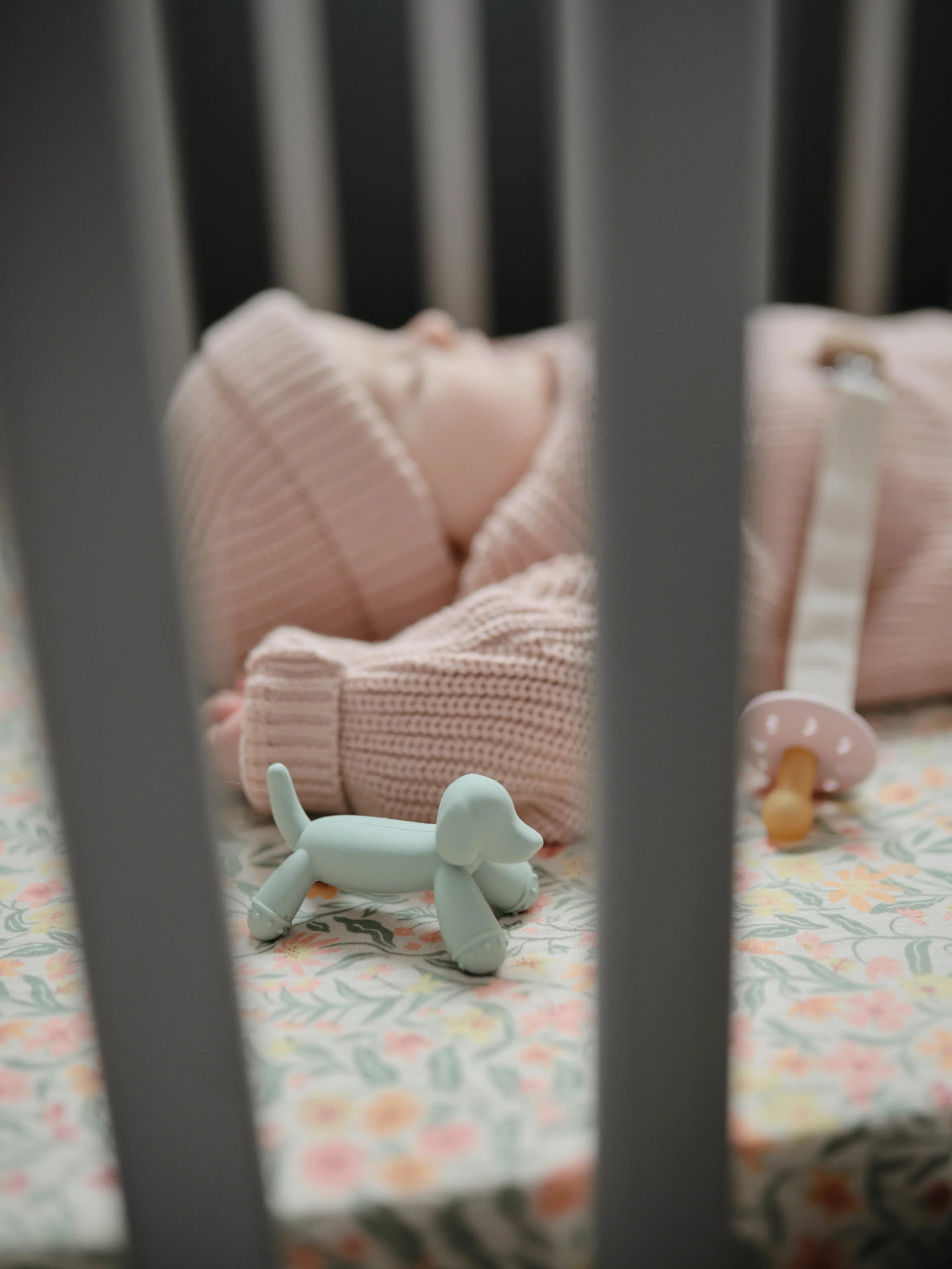 Baby-Beißring Doggy