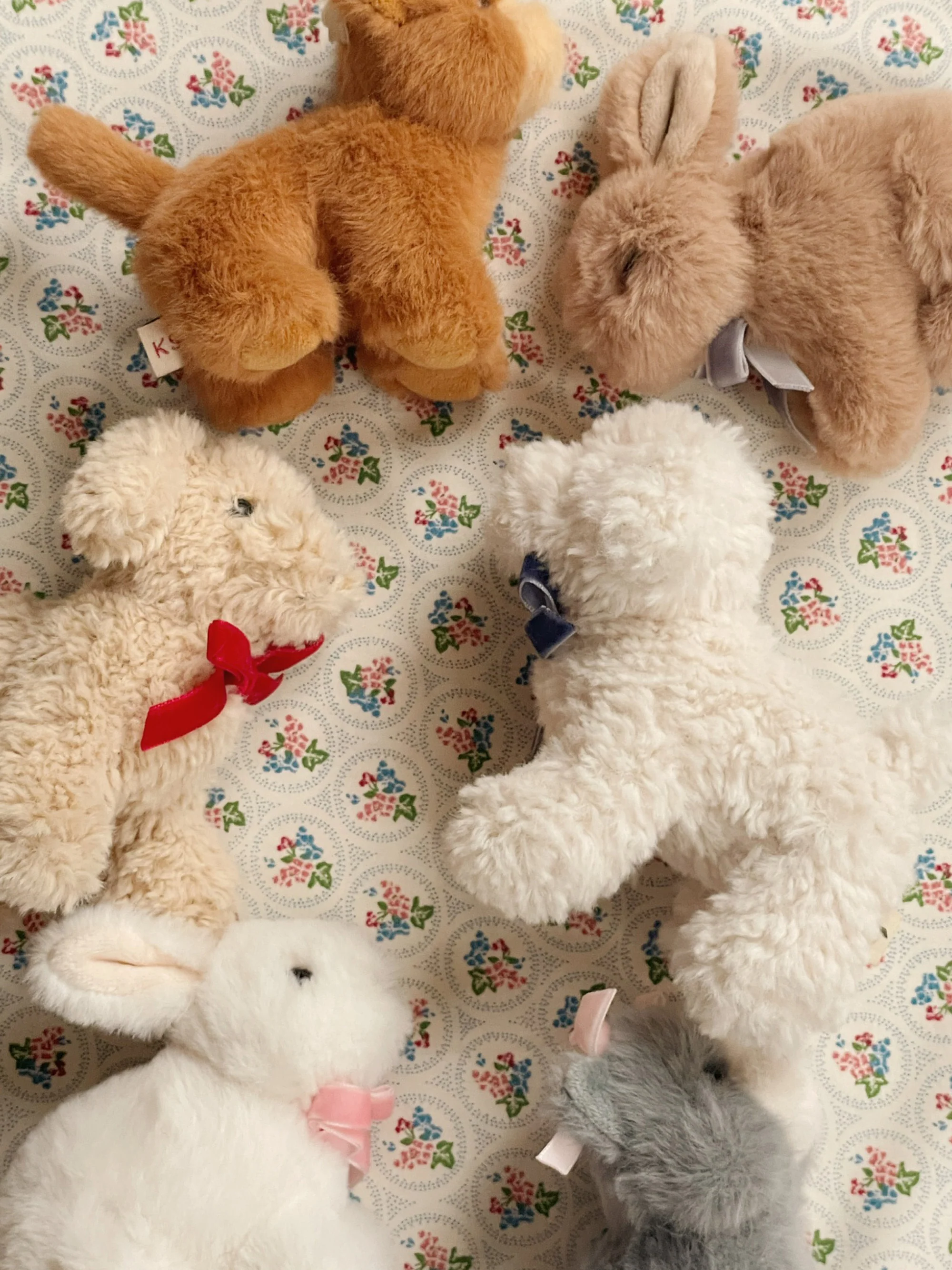 Kuscheltier Bunny
