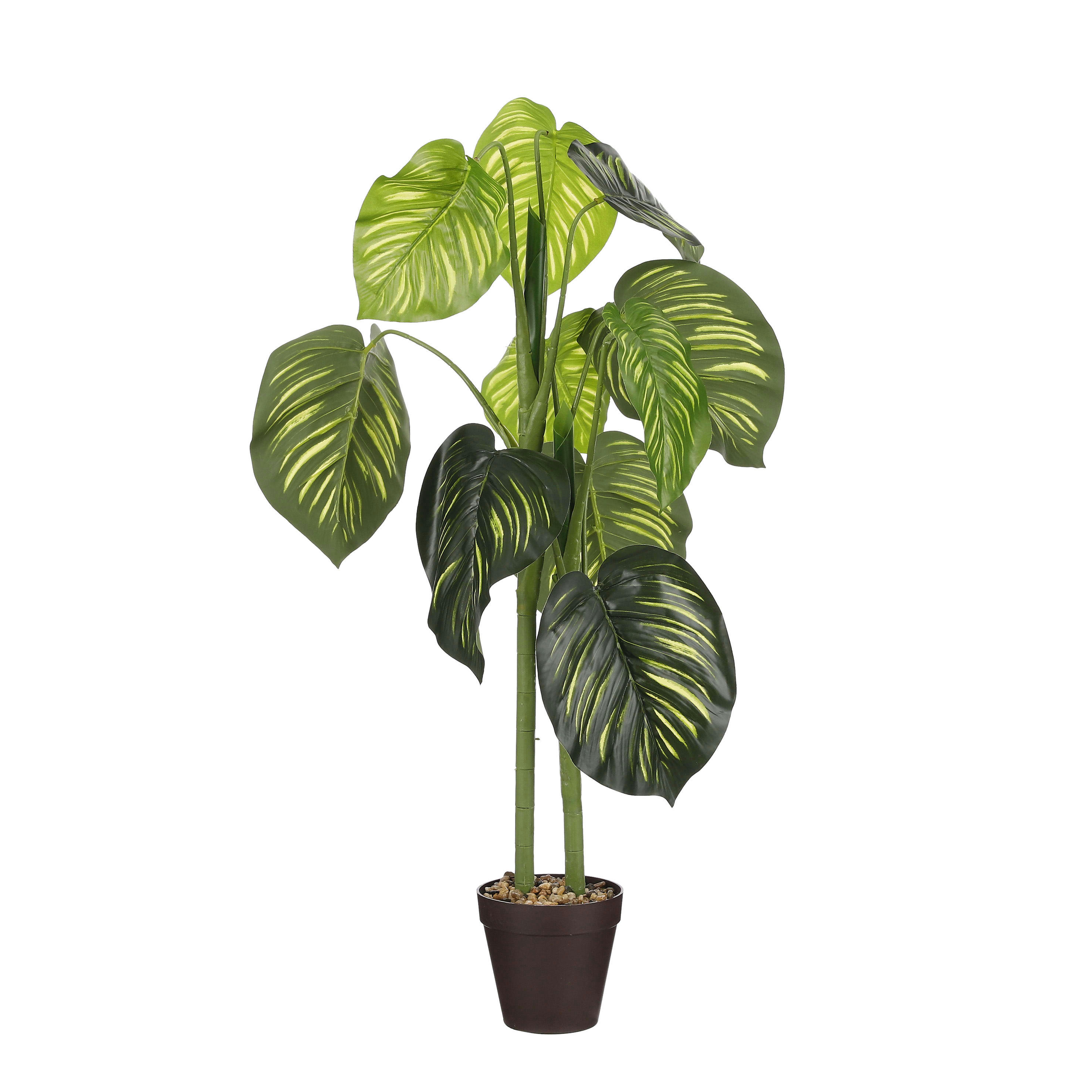 - Caladium artificielle vert en pot H100