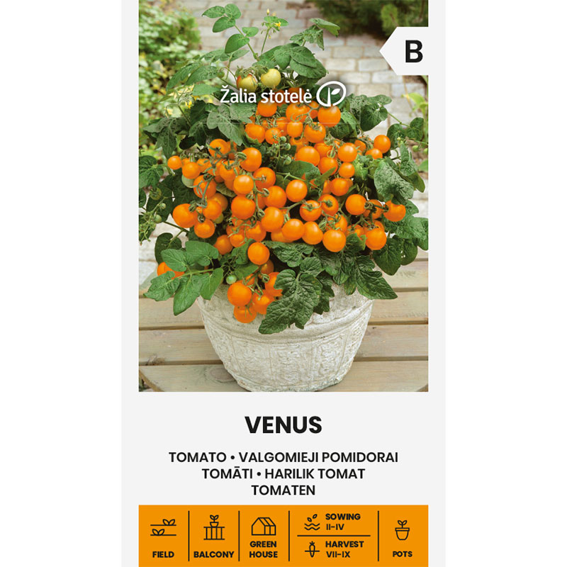 Tomat 'Venus'