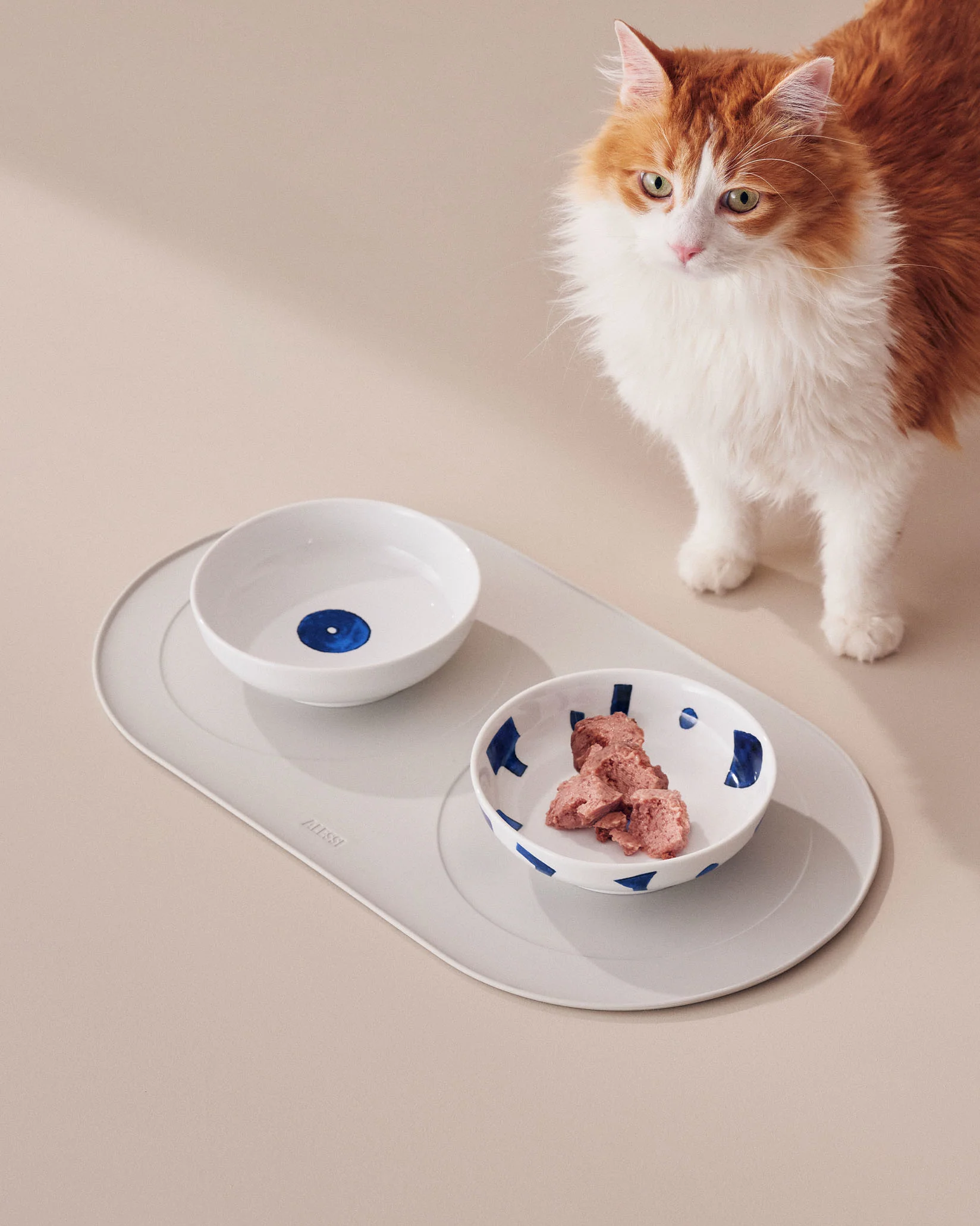 Itsumo pet Yunoki ware
