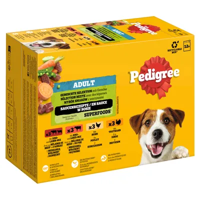 Pedigree Pouch in Gravy Multipack