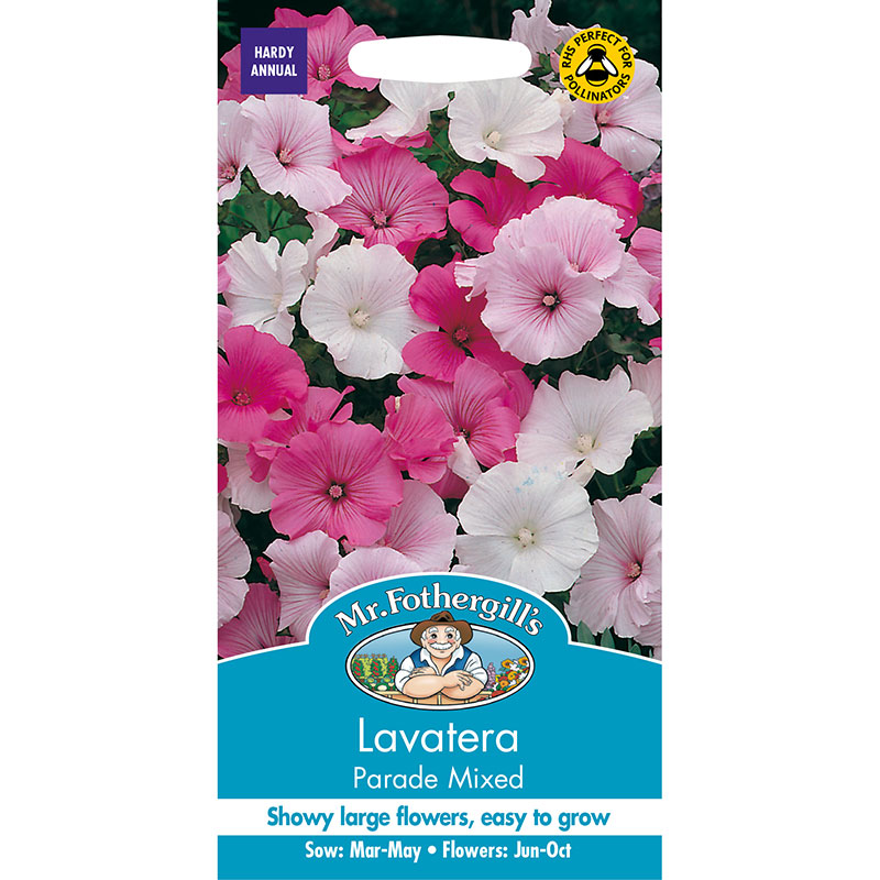 Sommarmalva 'Parade Mixed'