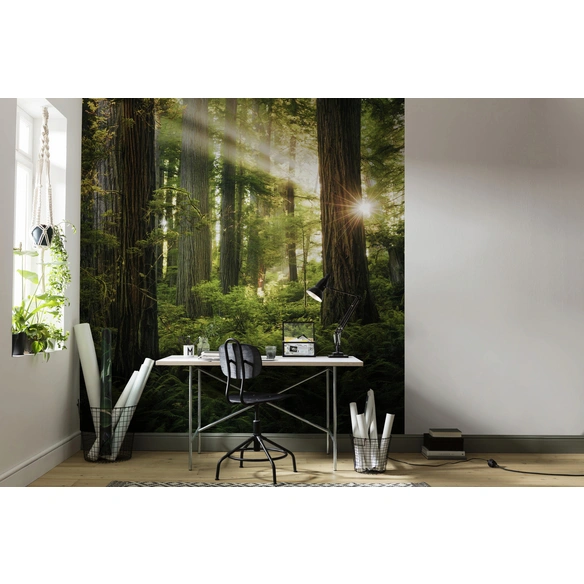 Vliestapete »Goblins Woods«, Breite 250 cm, seidenmatt