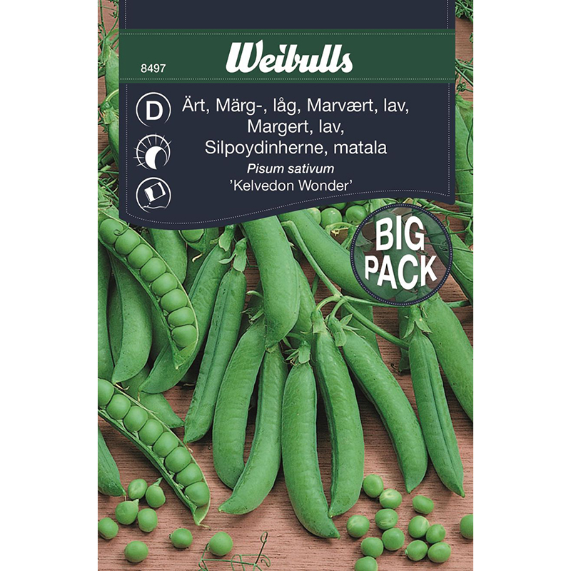 Märgärt 'Kelvedon Wonder', storpack