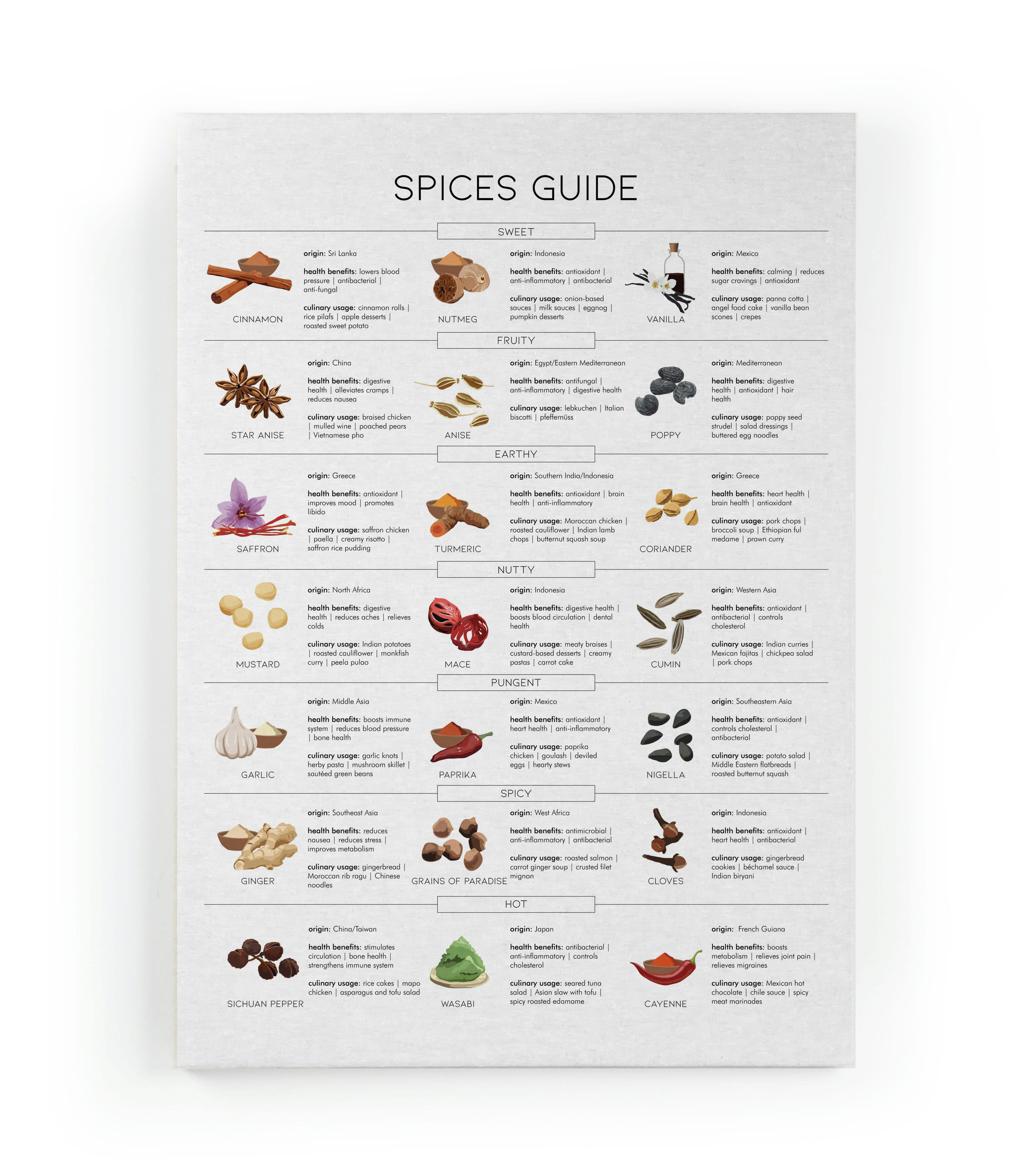 SPICES GUIDE - Peinture sur toile 60x40 imprimé HD guide des épices
