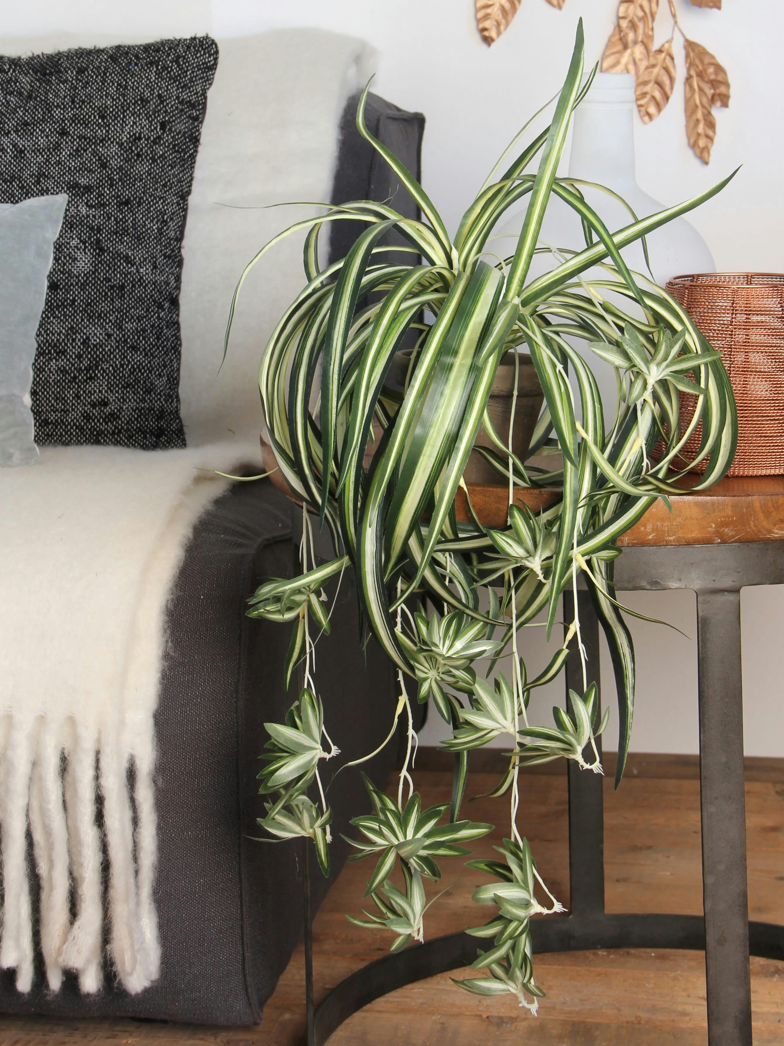 - Chlorophytum artificielle en pot H45