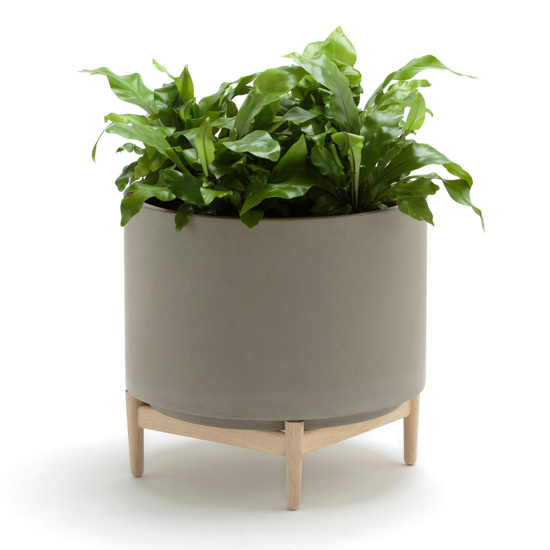 Cache-pot sur pied en hévéa H45cm, Florian