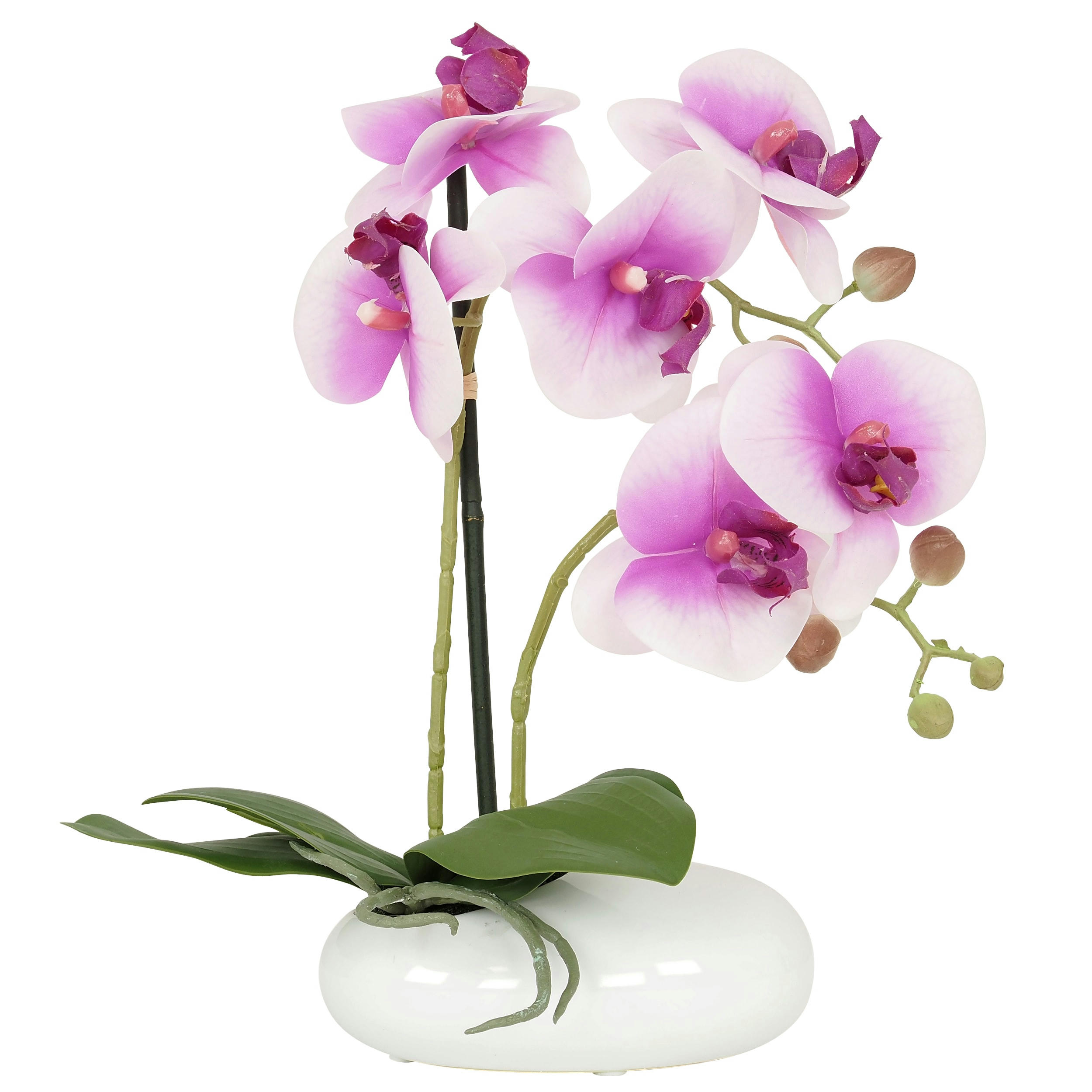 - Orchidées artificielles blanc-fuchsia 35cm