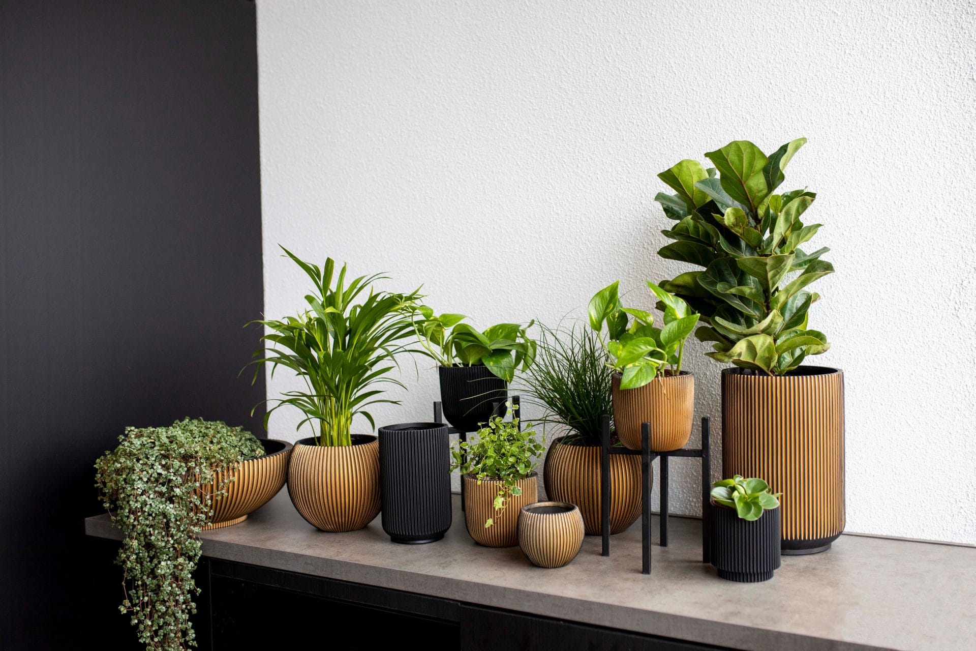 Capi Europe - Vaas hoog Groove - 17x27 - Zwart