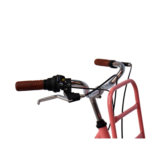 Cityrad, »SWAN«, 28 Zoll, rosa