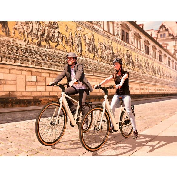 E-Bike »C3F Roma«, 28 Zoll, 25 km/h, Reichweite: 100 km, LCD-Display