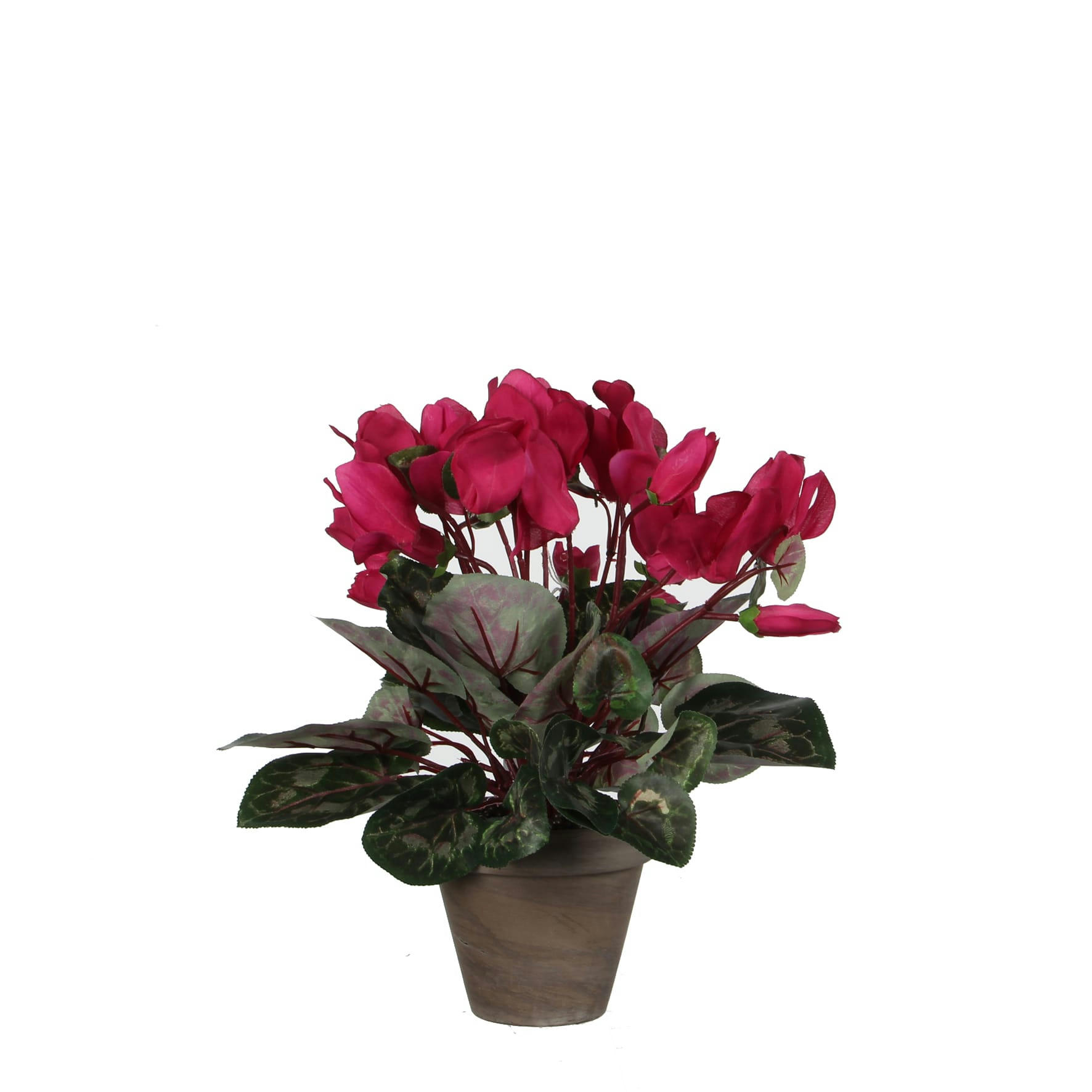 - Cyclamen artificielle rose foncé en pot H30