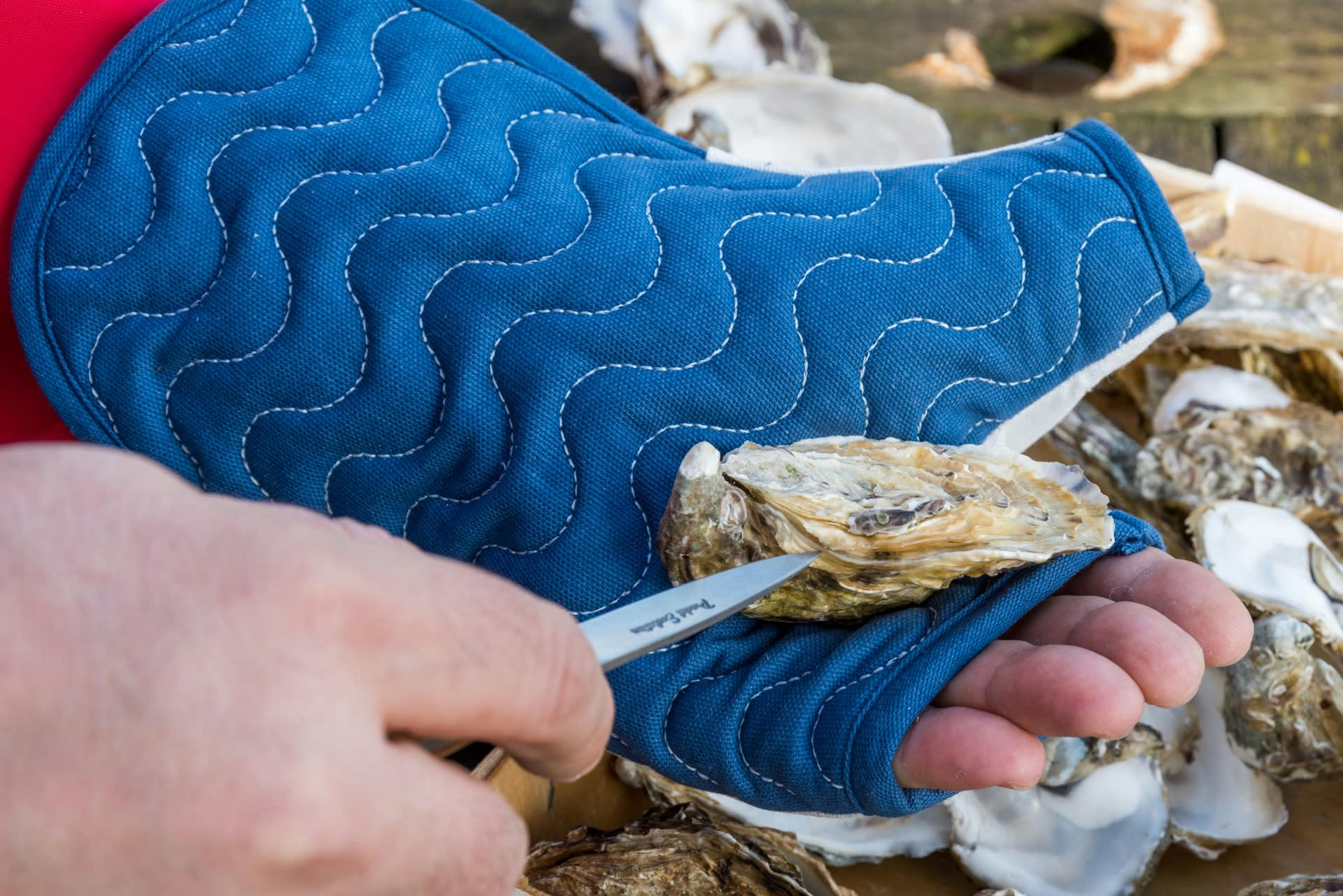 - Gant en coton à Huîtres bleu et blanc pour droitier