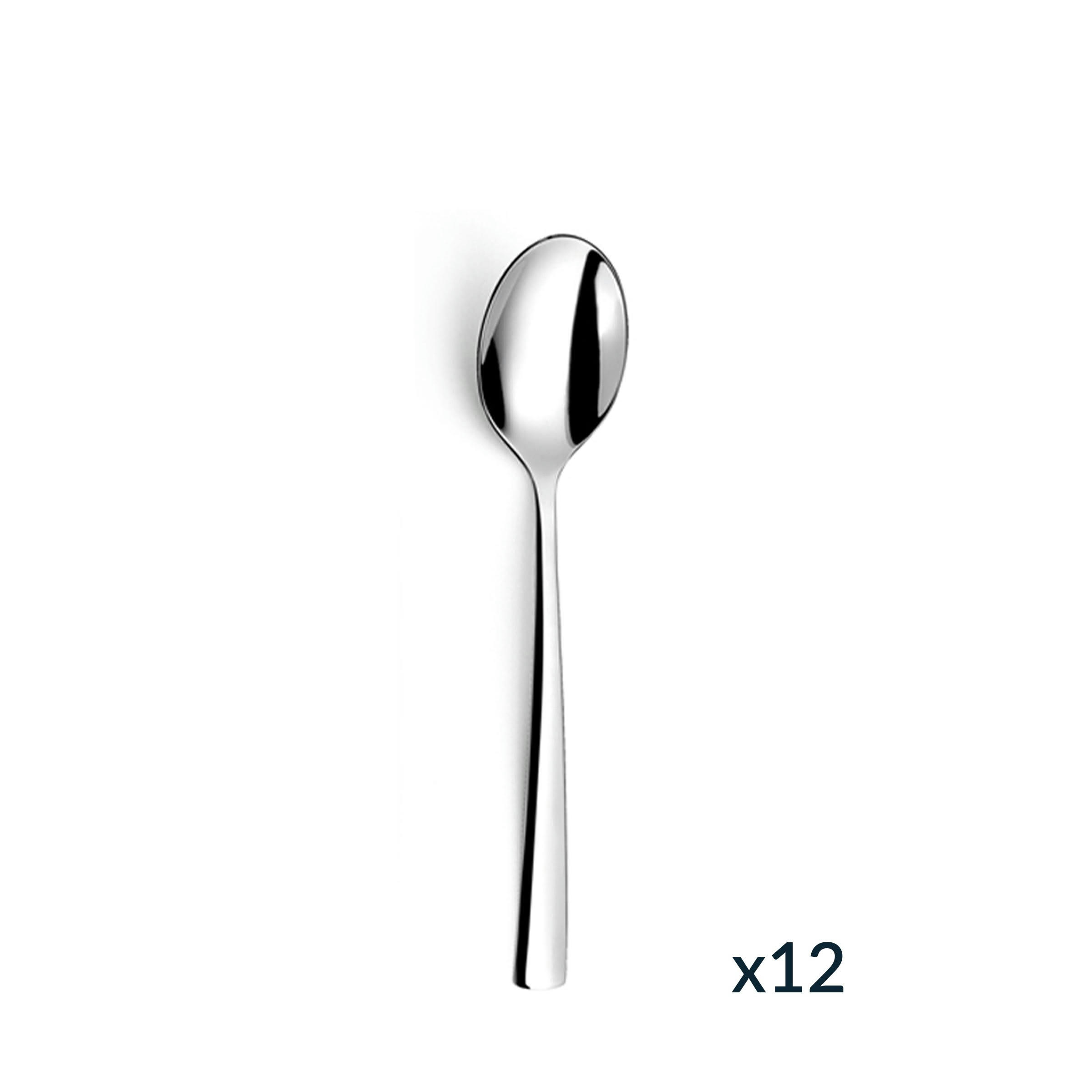 HAVANE - 12 cuillères à café