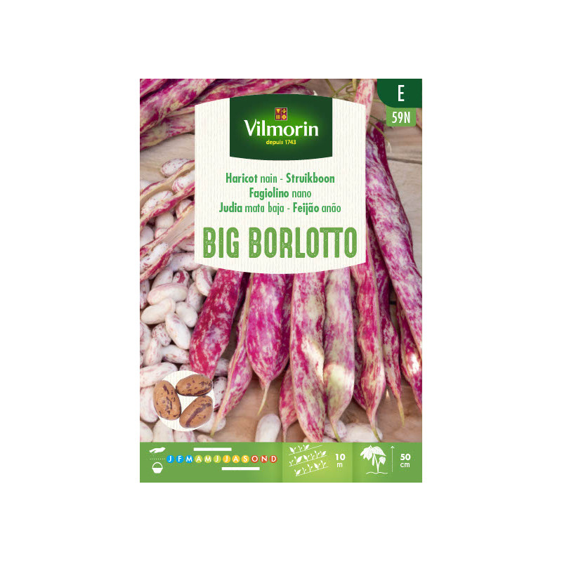 Semences de haricot Big Borlotto 150 g VILMORIN