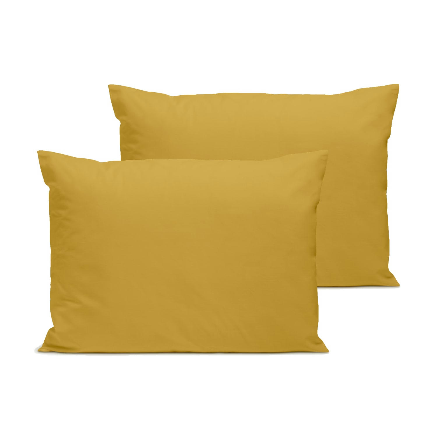 - Lot de 2 taies d'oreiller unies en percale de coton moutarde 50x75cm