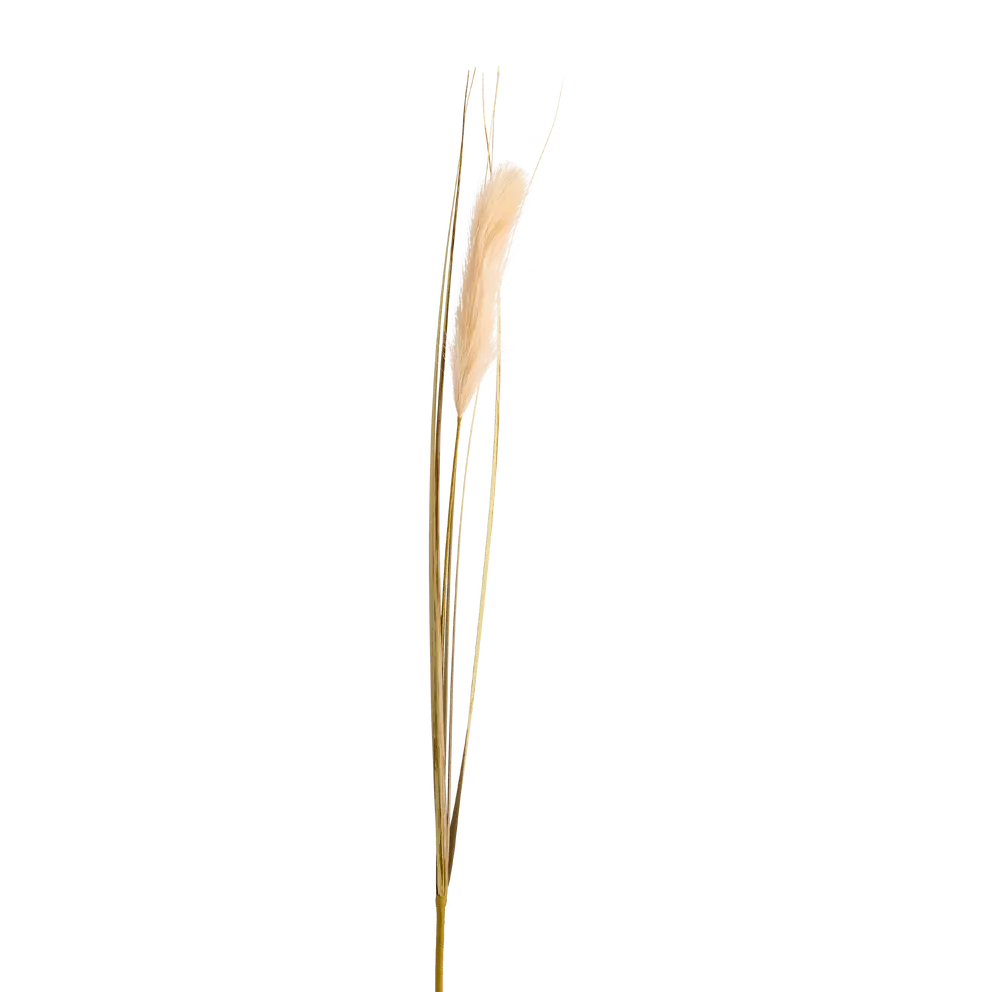Dekozweig Dried-Grass