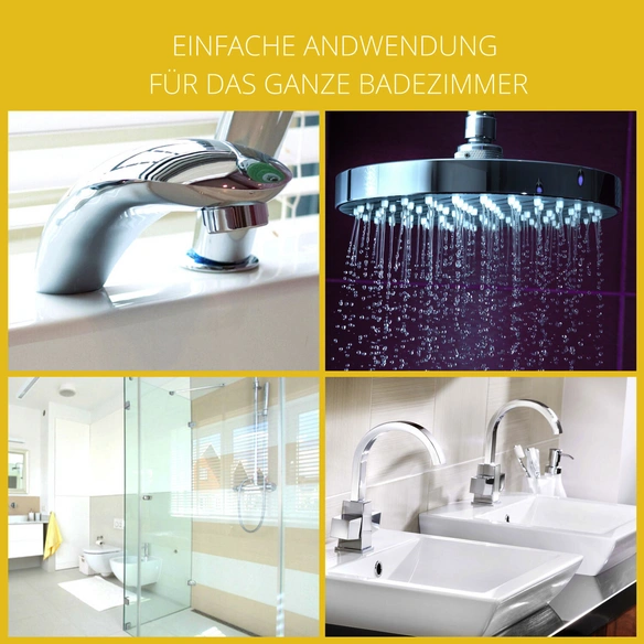 Sanitärreiniger, mit Lotuseffekt, 1 l