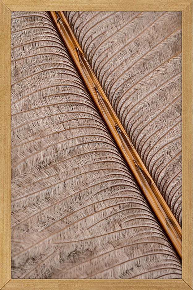 QUADRO PAPIRO I 20 CM X 30 CM