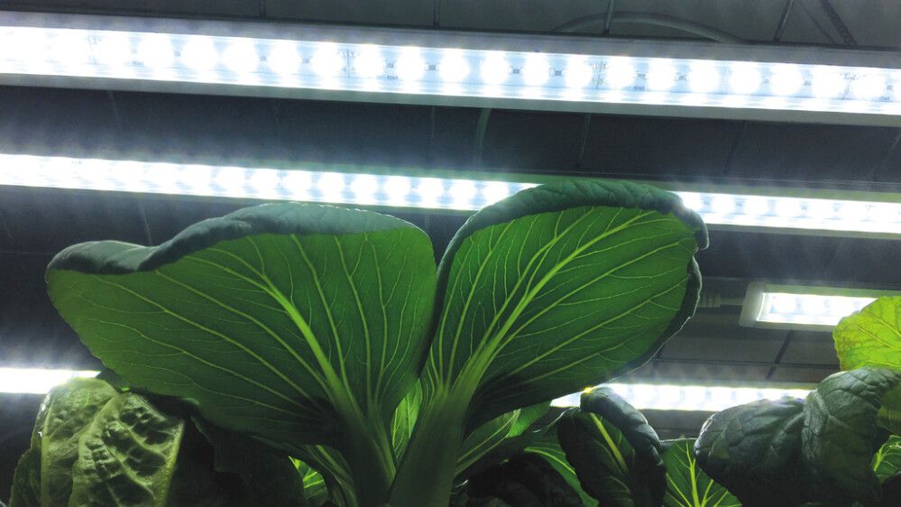 PLANTELYS LED NELSON GARDEN NO. 2 23W 85CM U/ADAPTER