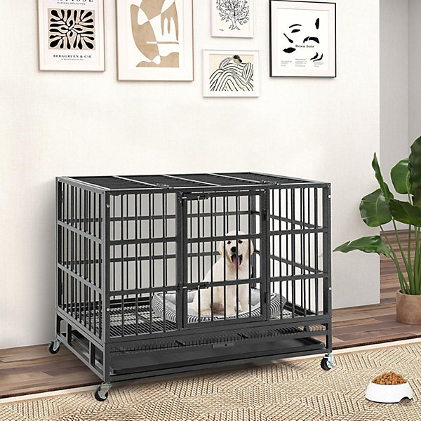 Cage pour Chien Pliable en Métal avec Roues Verrouillables Cage avec Double Portes Verrouillables Plateau Amovible