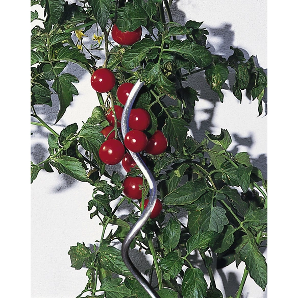 Tomatenspiralstab, Verzinkt, Stahl